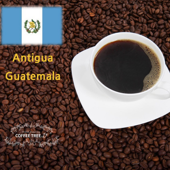 커피트리쥔장 과테말라 안티구아 원두커피 홀빈 200g 500g, 핸드드립, 1개