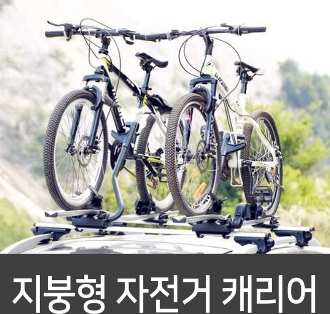 자전거 지붕형 캐리어, 1개