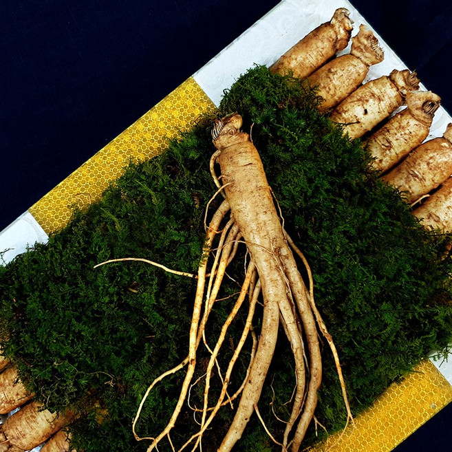한국인삼유통공사 명품 인삼선물세트 4호 수삼 금산풍기인삼선물세트, 1세트, 금보자기