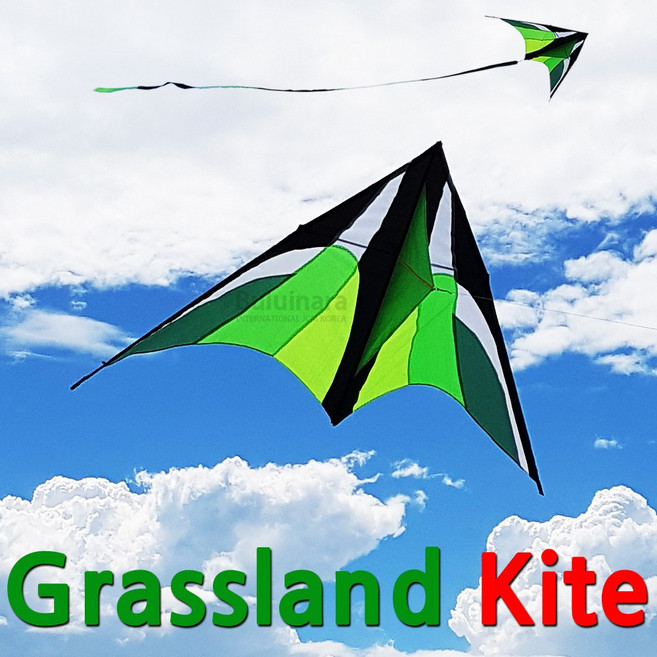 불의나라 초원 연 카이트 가오리연 (대형연 모양연), 01-4.초원연+H260베어링얼레+R240연실, 1개