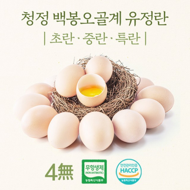 강원도 청정 백봉오골계 특란 (무항생제 HACCP 인증), 6개
