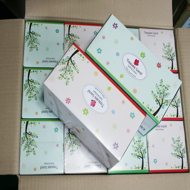 티슈랜드 먼지없는각티슈 미용티슈 230매 9개 12개 24개, 24개입