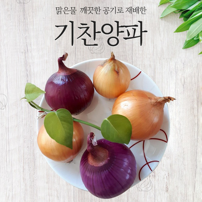 훈훈영농조합법인 기찬양파 국내산 양파 깐양파 빨강양파 3kg 5kg 10kg, 1박스, 옵션4-1 국내산 깐양파 5kg(소품)