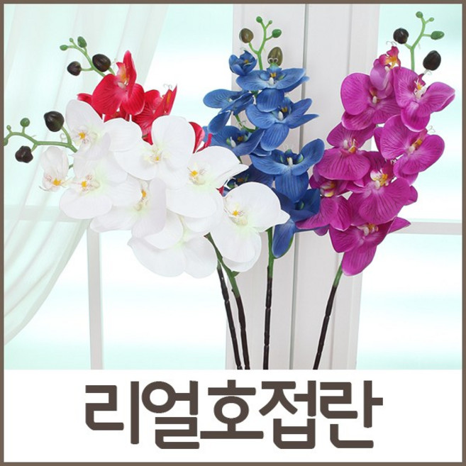 호가 리얼 호접란 조화 조화꽃 인테리어조화 인테리어소품 장식, 리얼호접란_블루