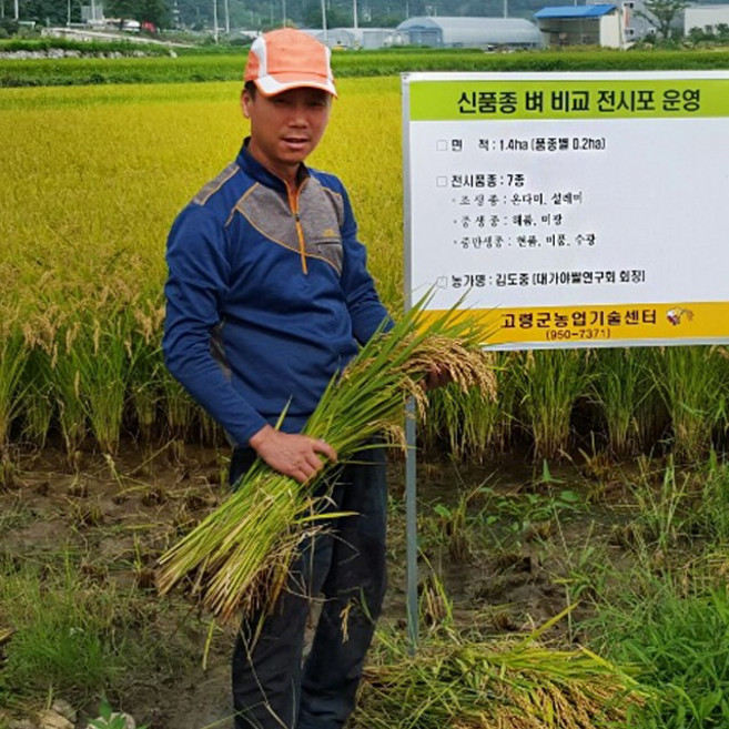 장현식품 햅쌀 백진주, 4kg, 1개, 2025년햅쌀백미혼합(해담+드래향), 등급 없음