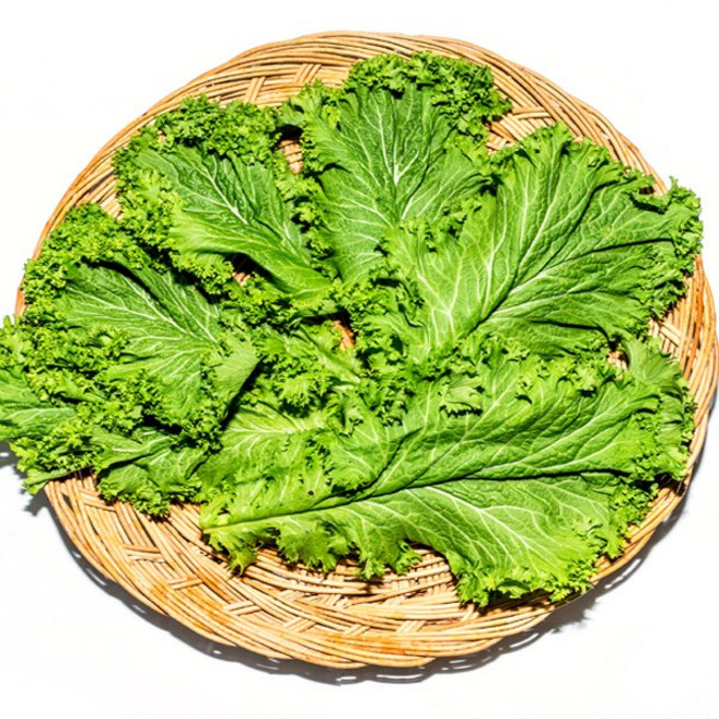 팜 유기농 청겨자 1kg, 1개