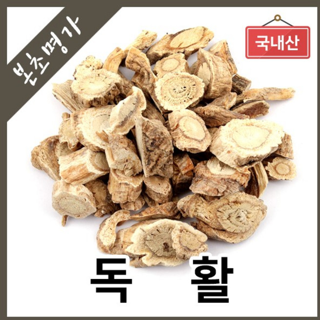 본초명가 독활 땅두릅, 1개, 300g