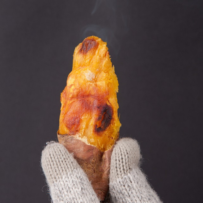 농부의꿈 슈퍼특가 해남밤고구마 꿀고구마, 1개, 10kg 대왕(300g 이상)