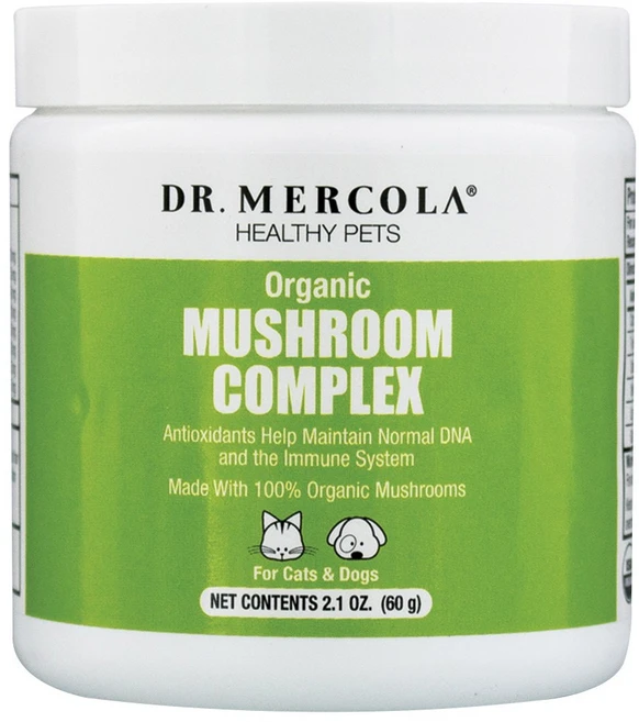 닥터머콜라 머쉬룸 컴플렉스 강아지 고양이 겸용 영양제 60g, 1개 - 쿠팡