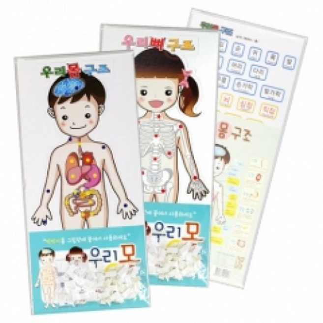 핸디몰 우리몸1(남여) 우리뼈2 (그림판 학습교재), 1번