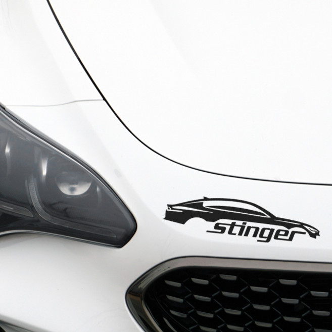 디엑셀 스팅어 서페이스 데칼 좌우세트, 딥그레이, 1개