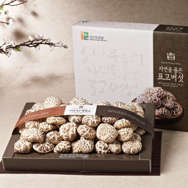 자연두레 백화고세트 (백화고500g), 1박스