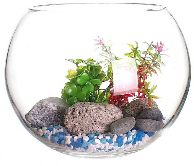 잎새몰 구피어항세트 수족관 미니어항세트 볼20 어항, 투명, 1개