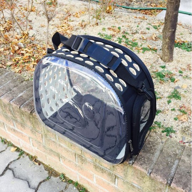 달빛마켓 고양이 강아지 투명 이동가방 애완동물이동장, 블랙, 1개