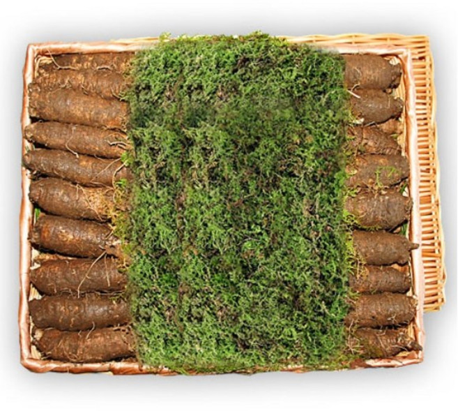 횡성더덕농장 더덕 선물세트 상3kg, 1개