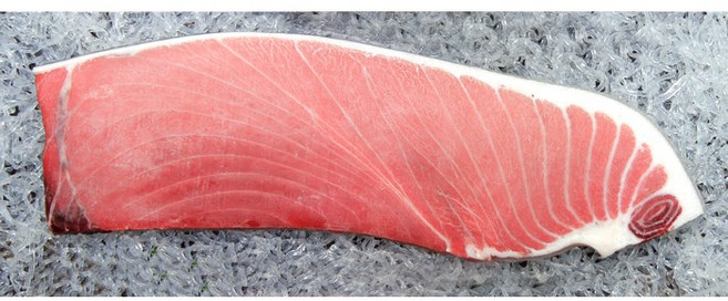 서림참치 참치회 참다랑어 2번 뱃살 손질후 배송, 1개, 2번손질 1kg
