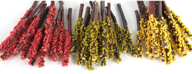 에밀리펫 사과나무 딸기 애플 망고 뺴빼로3종, 1개