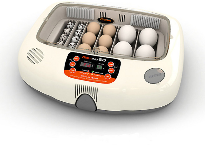 알콤 뉴 알콤20 자동부화기 MX-20, 혼합색상, 1개