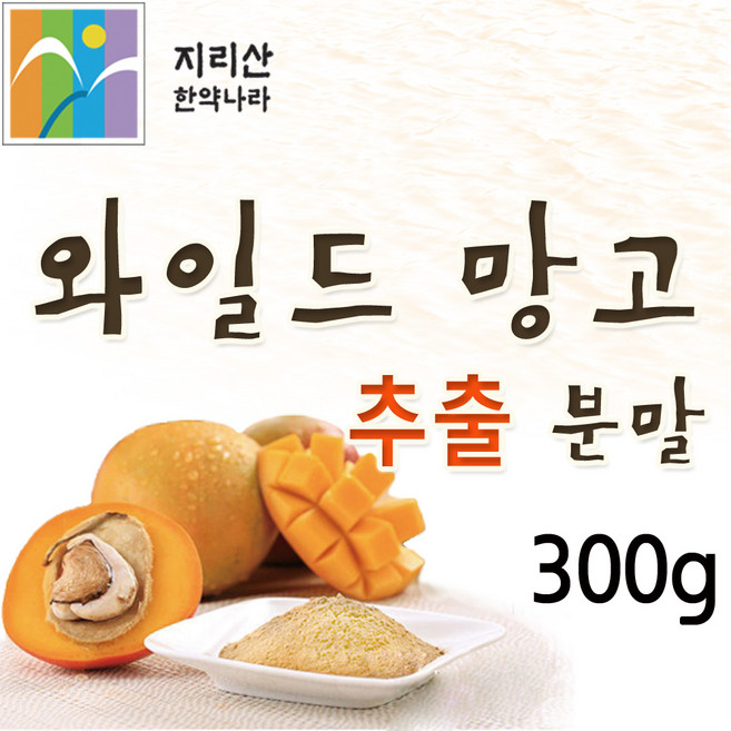 지리산한약나라 와일드망고 추출분말, 300g, 1개