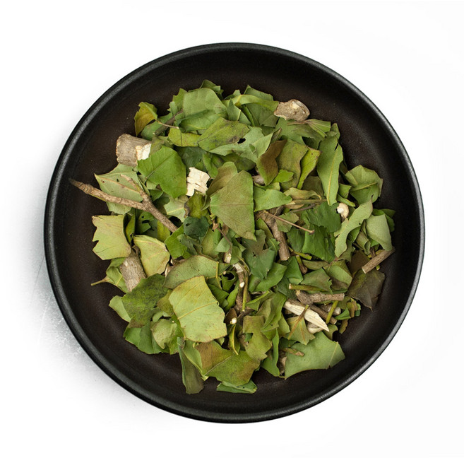 동광종합물산 황칠나무(잎) 국내산 600g, 1개, 1개
