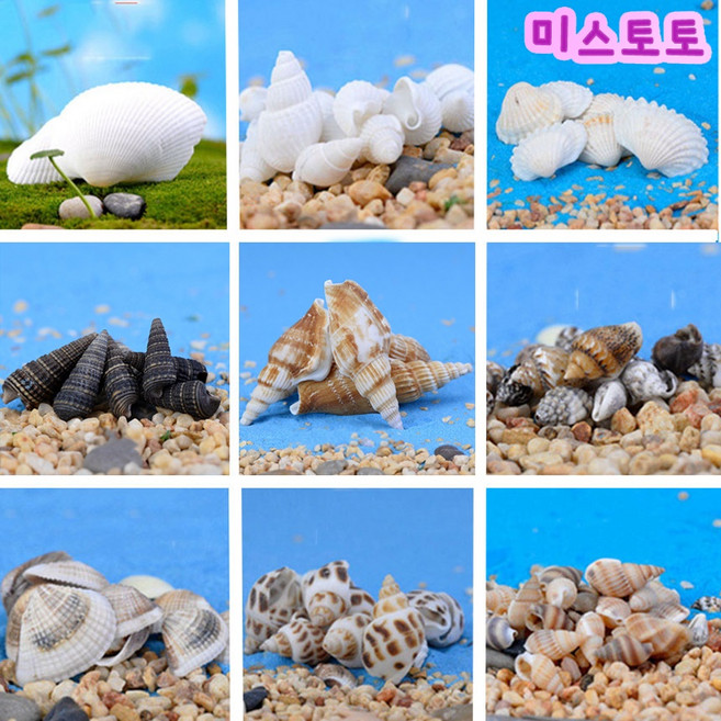 미스토토 테라리움 만들기 재료 1000여종