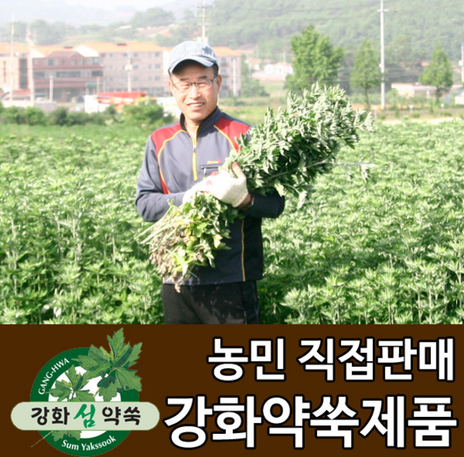 강화도토박이 강화약쑥 강화사자발쑥 강화사자발약쑥 쑥즙, 1개, 10. 강화약쑥 건식 좌훈쑥 500g