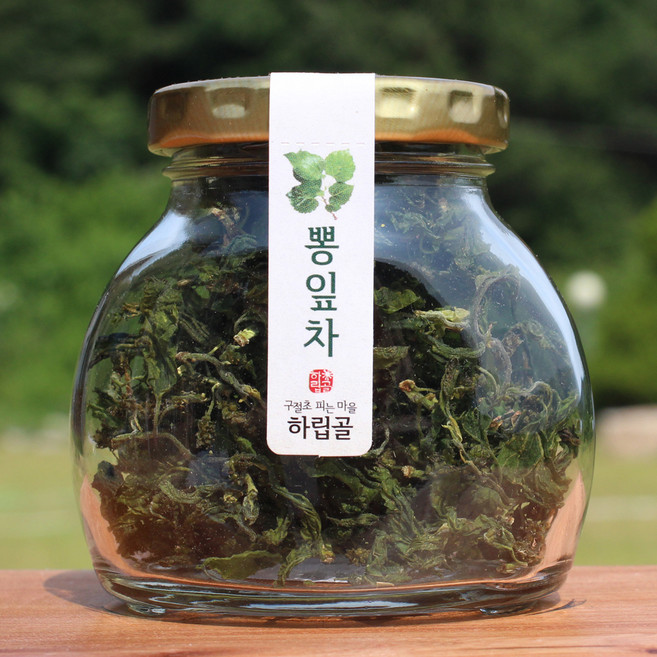 하립골 뽕잎차 직접재배 뽕잎새순차 국산, 10g, 1개, 1개, 1개입