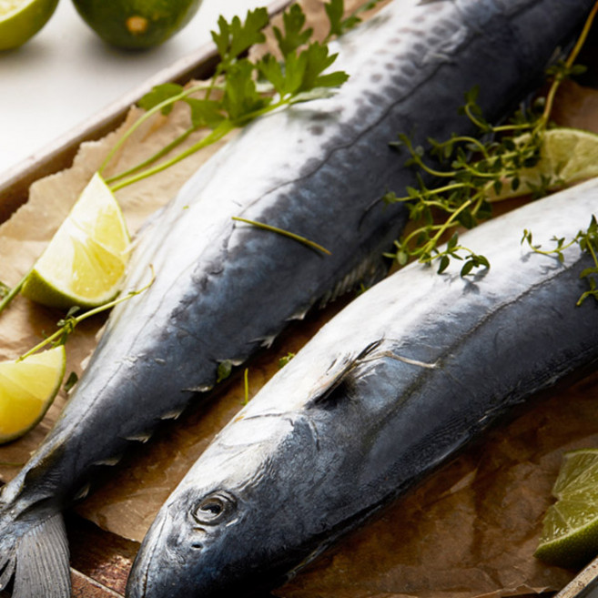 손질 대 삼치살 제주 산지직송 10팩 (팩당 300g 이상), 1팩당 300g이상, 1개