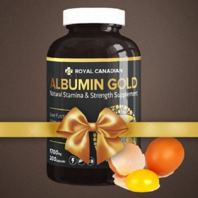 RC 캐나다산 알부민골드 1700mg, 1개, 1.7L