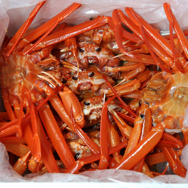 참한푸드 홍게 한정특가(활어 자숙) 일반 고급 박달, 1개, 프리(자숙) 2kg(4~6마리)