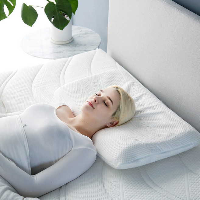 에너지아 컨투어 메모리폼 베개, 낮은베개(EC20), 1개