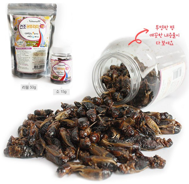 MG내츄럴 국내산 건조 귀뚜라미, 1개, 50g