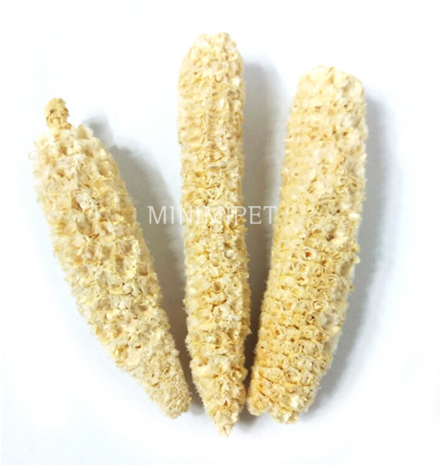 옥수수 속대 약 50g/햄스터/토끼/기니/이갈이간식, 1개, 50g