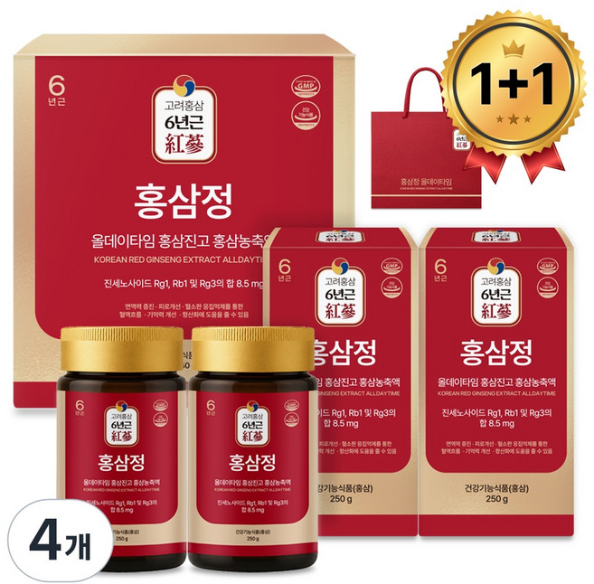 홍삼정 올데이타임 홍삼진고 홍삼농축액, 250g, 4개