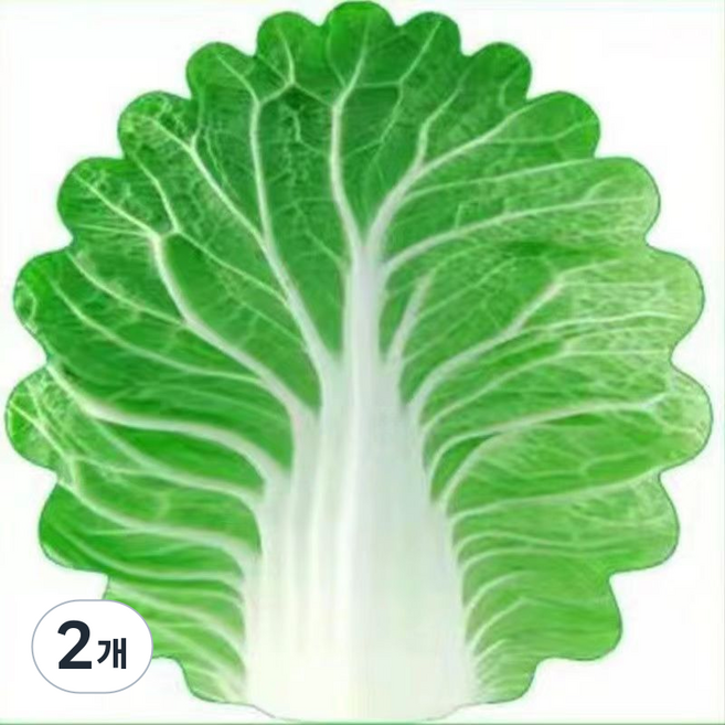 해피유 배추담요, 2개, 120×120