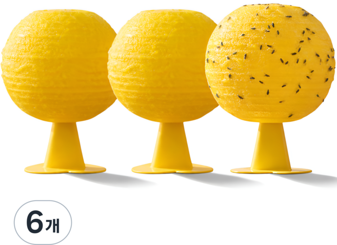 바라츠 초강력 초파리 트랩 끈끈이, 6개