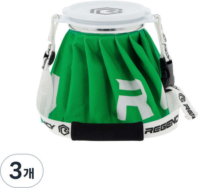 리젠시 프리미엄 골프 얼음주머니 물방울 안맺히는 결로방지 아이스팩 대형, 아이스그린, 3개