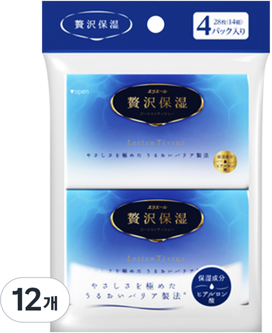 에리에르 여행용 프리미엄 로션티슈, 12개, 14매