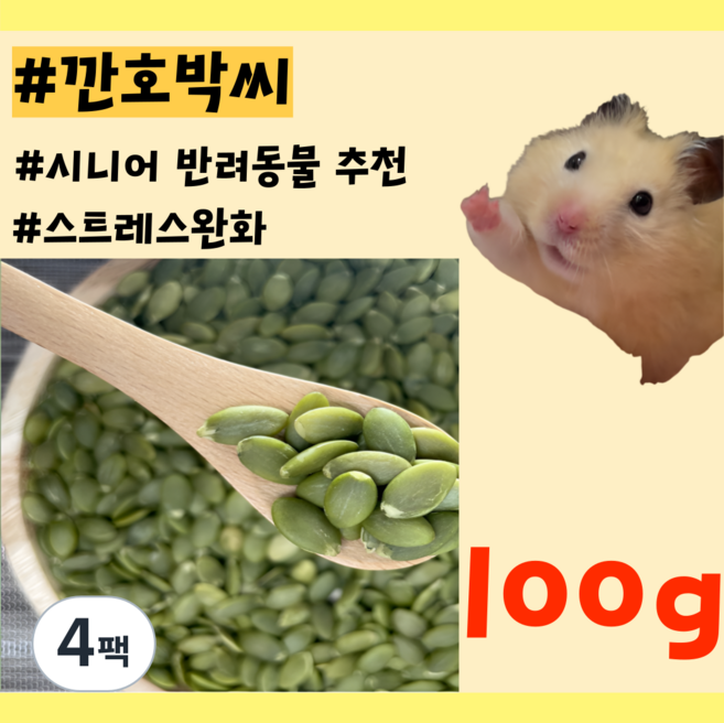 천연 호박씨 햄스터 앵무새 래트 영양 간식, 4개, 100g