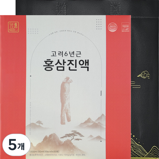 대한홍삼 고려6년근 홍삼진액 선물세트 + 쇼핑백, 5개, 1.5L