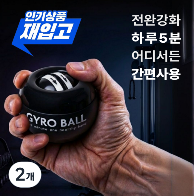 빈스트 오토매틱 전완근 강화 자이로볼, 2개, 검은색