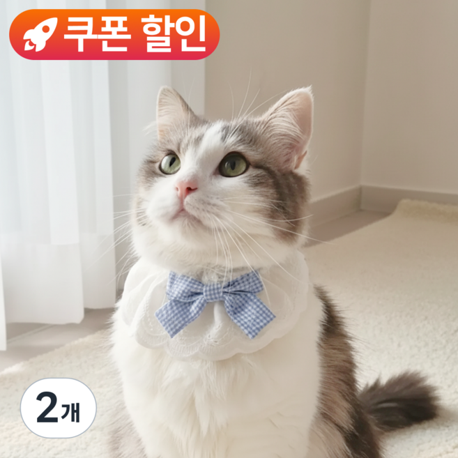 미유틱 강아지 목도리 케이프 고양이 스카프 망토 턱받이, 2개, 1. 레이스 블루