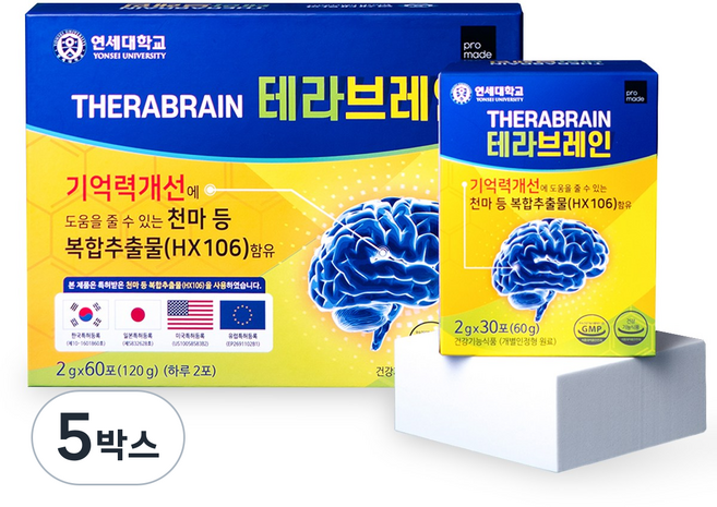 [정식판매처] 연세대 테라 브레인 기억력 두뇌 건강 기능식품 천마 가루 뇌 홍경천 아연 연세생활건강, 120g, 5박스