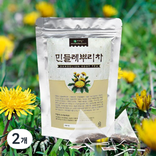 국산 민들레뿌리차 민들레 티백차, 1g, 20개입, 2개