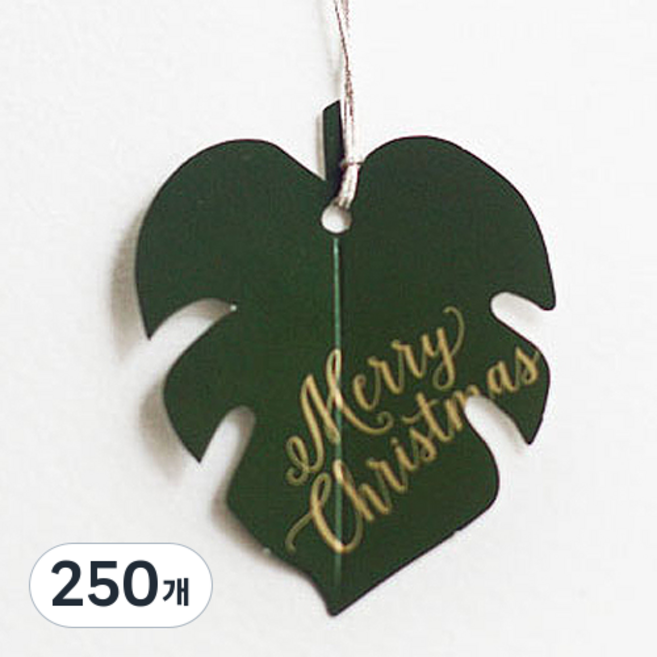 [오브제스타] 몬스테라, 250개