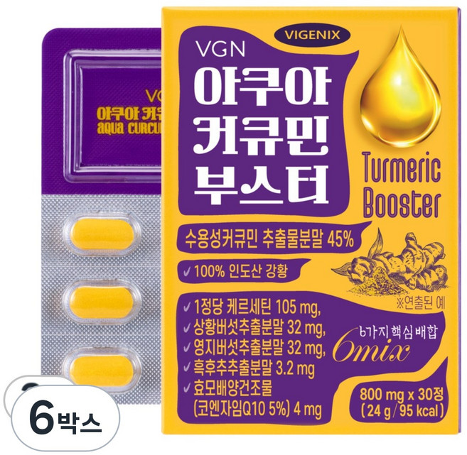 커큐민 추천 TOP10 — [웰스앤헬스] 비제닉스 아쿠아 커큐민 부스터 수용성 강