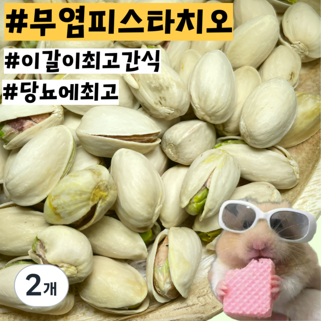 [내일도착] 당뇨예방 무염 햄스터 기니피그 친칠라 이갈이 피스타치오 간식, 2개, 20g