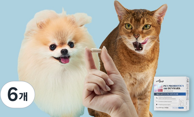 웰찹 100억 보장 강아지 고양이 덴마크 펫 유산균 프로바이오틱스 100, 30정, 장건강/유산균, 6개