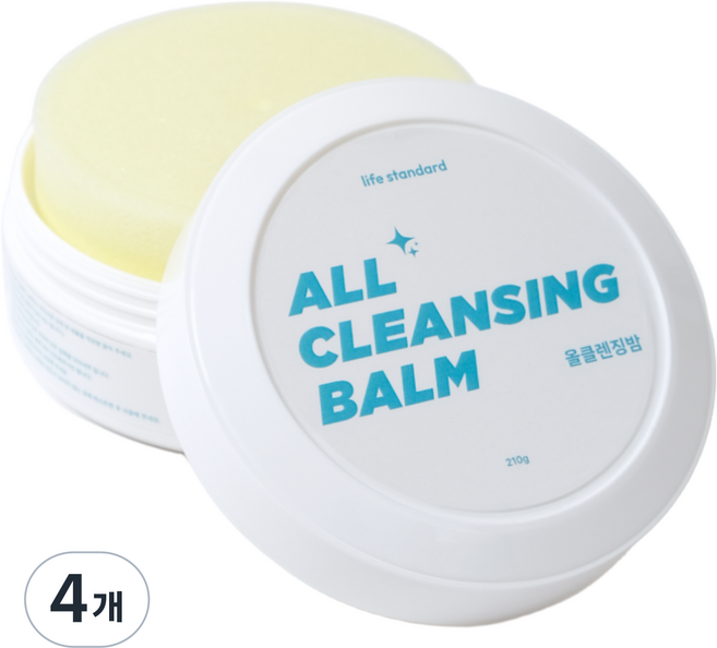 라이프스탠다드 신발클리너, 4개, 210g