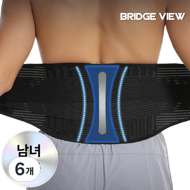 브릿지뷰 코어핏 척추지지 허리보호대, 6개
